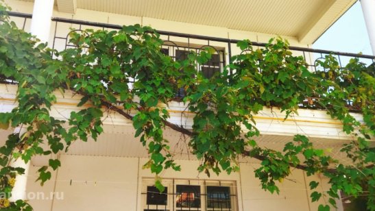 Пансионат «СуперСтар» фото